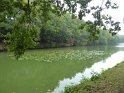 2019-09-26 10-29-38 Etang de Beaulieu MBo